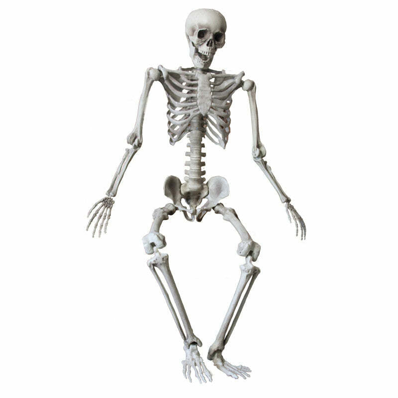 Squelette à taille humaine 160/165 cm – Farfouil en fête