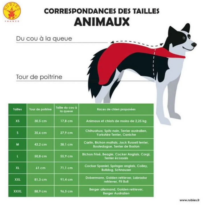 Costume d'araignée géante pour chien,Farfouil en fÃªte,Déguisements