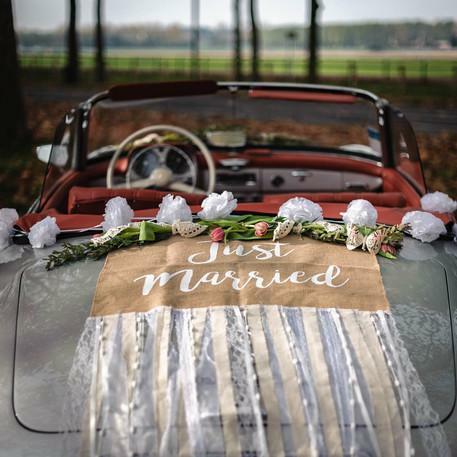 Kit de décorations de mariage pour voiture des mariés Champêtre,Farfouil en fÃªte,Noeuds