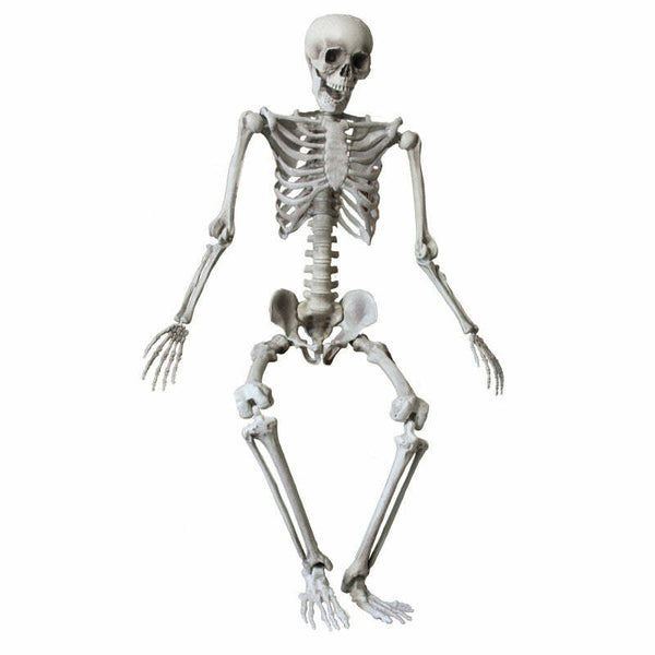 Squelette à taille humaine 160/165 cm,Farfouil en fÃªte,Décorations