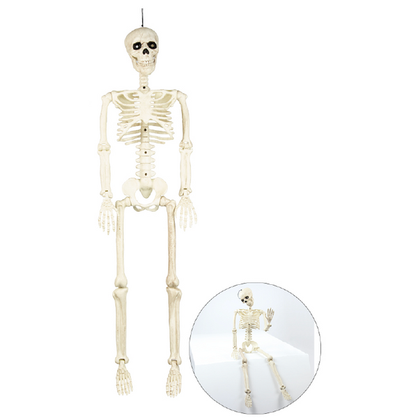 Squelette blanc articulé 90 cm,Farfouil en fÃªte,Pompons, suspensions