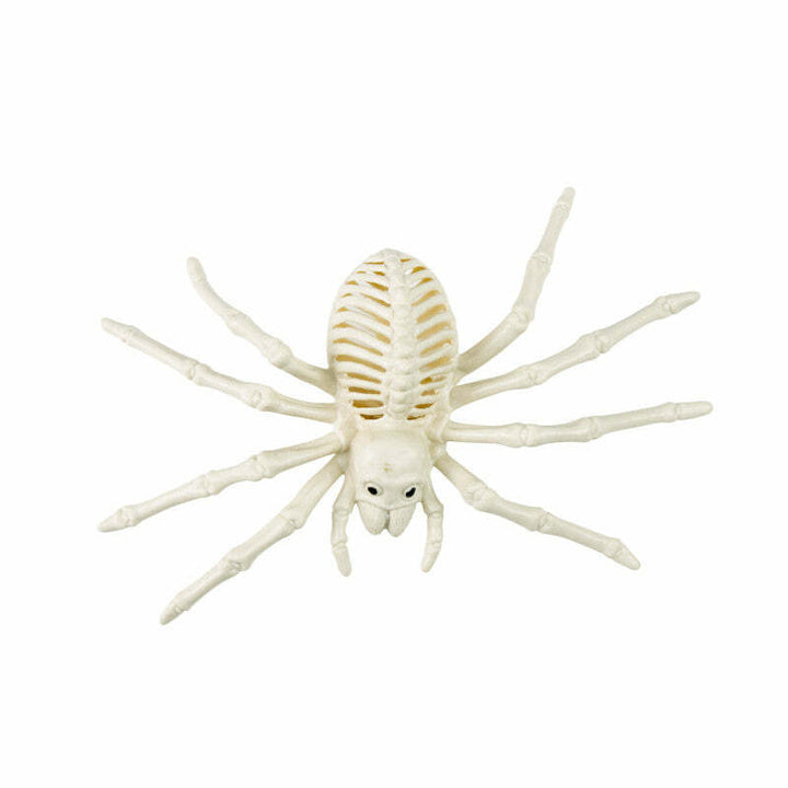 Squelette d'araignée 25 cm,Farfouil en fÃªte,Décorations