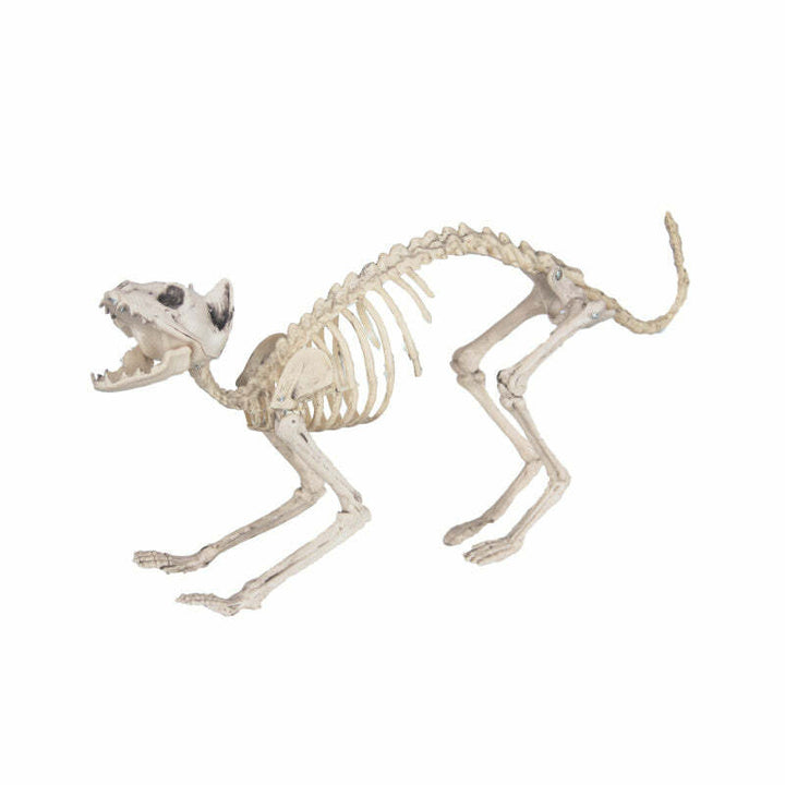 Squelette de chat 60 cm,Farfouil en fÃªte,Décorations