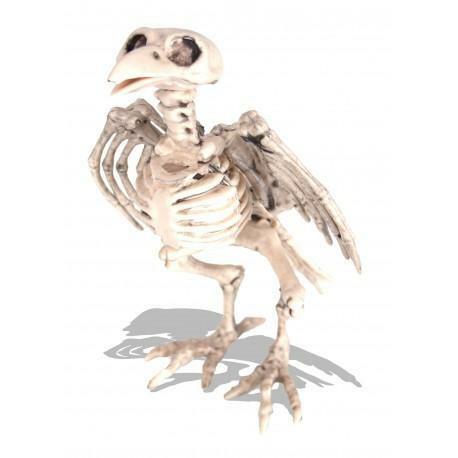 Squelette de corbeau 18,5 cm,Farfouil en fÃªte,A definir