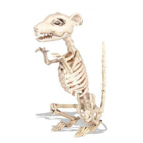 Squelette de rat 33 cm,Farfouil en fÃªte,A definir