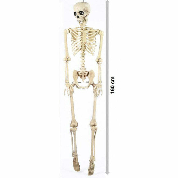 Squelette factice articulé 160 cm 1er prix,Farfouil en fÃªte,Pompons, suspensions